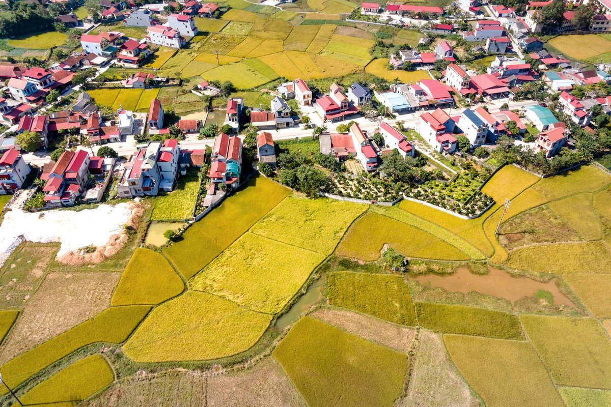 Drone ile alınmış ham ortofoto görüntüsü